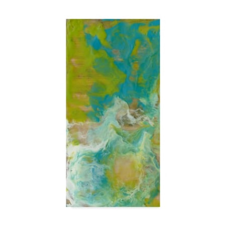 Jennifer Goldberger 'Amorphous I' Canvas Art,16x32